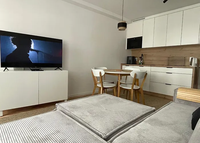 Klimatyczny Apartament W Centrum